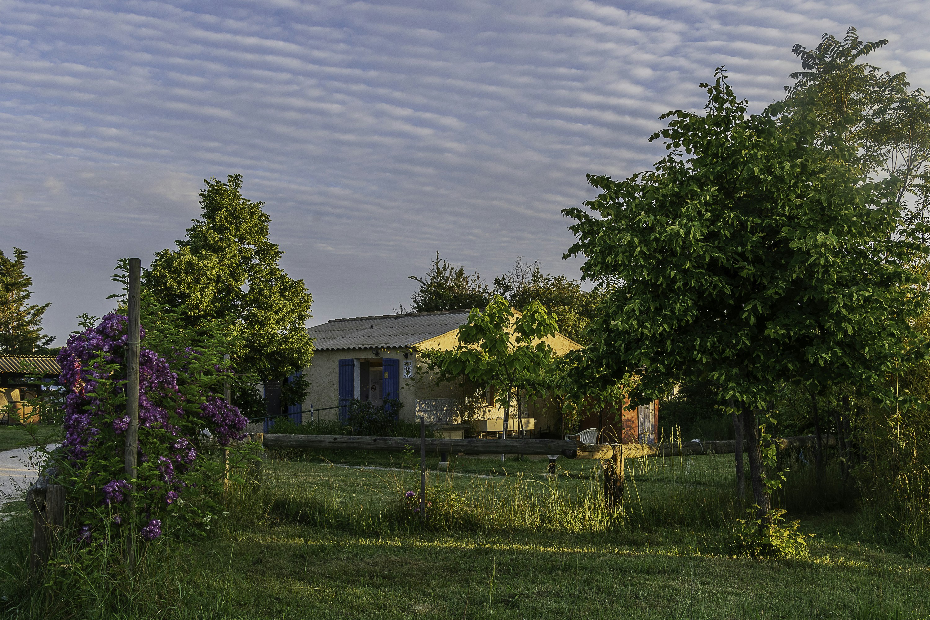 Camping de l'Aube - Standplatz und Gebäude auf dem Campingplatz