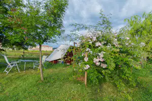 Zelt auf einer grünen Wiese zwischen Bäumen, daneben Gartenstühle und ein blühender Strauch mit weißen Blüten.