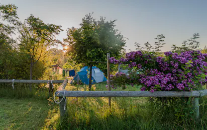 Camping de l'Aube