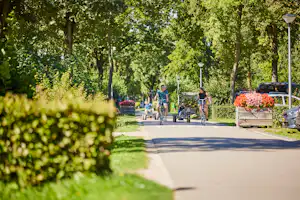 Camping De Leistert - Familie fährt Fahrrad auf dem Campingplatz