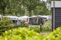 Camping De Leistert -  Campingbereich für Zelte und Wohnwagen im Schatten der Bäume