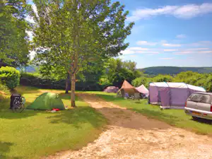 Zelte auf einem Campingplatz auf einer Wiese, mit Baum, Fahrrad und geparktem Auto am Weg.