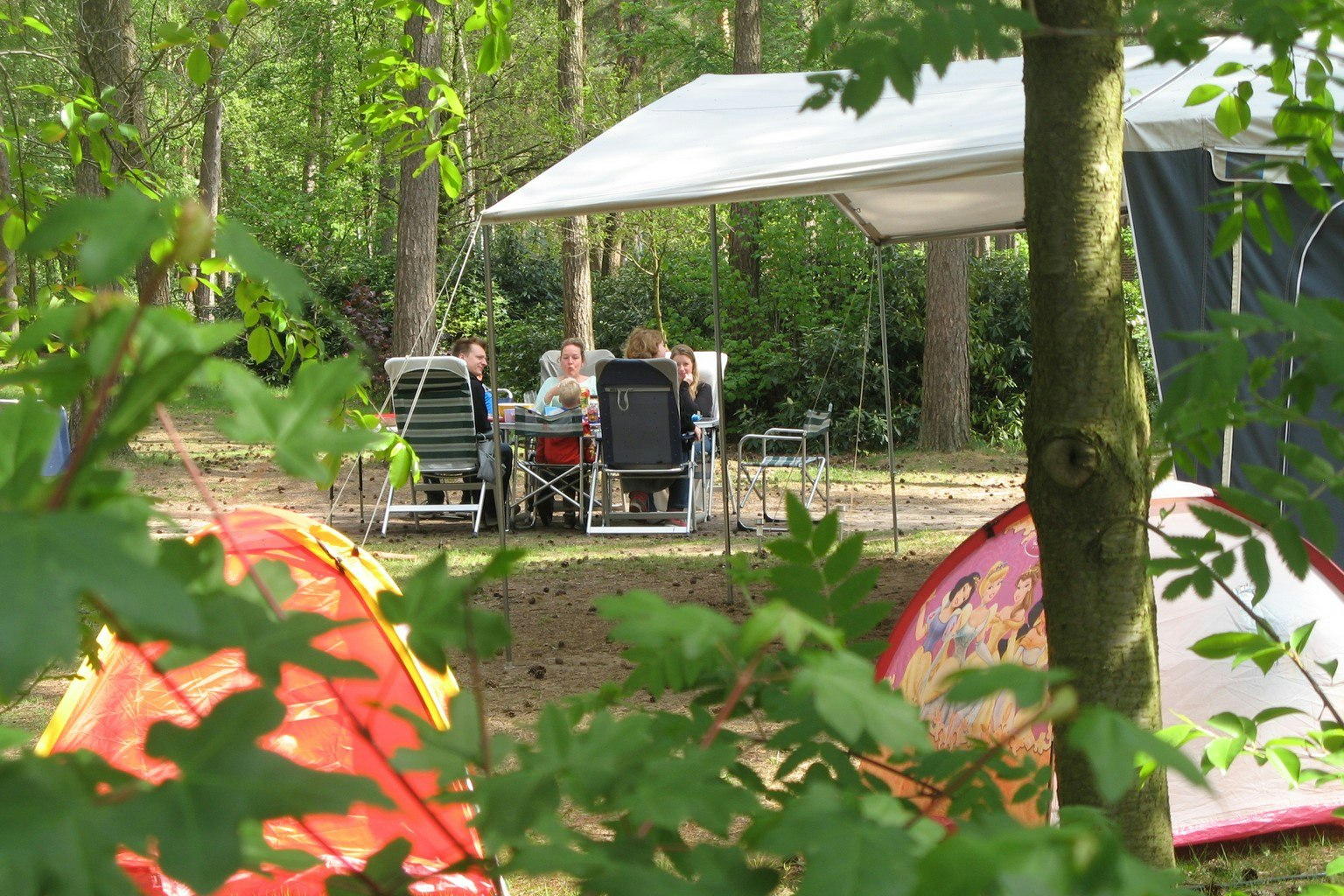 Camping De Lilse Bergen