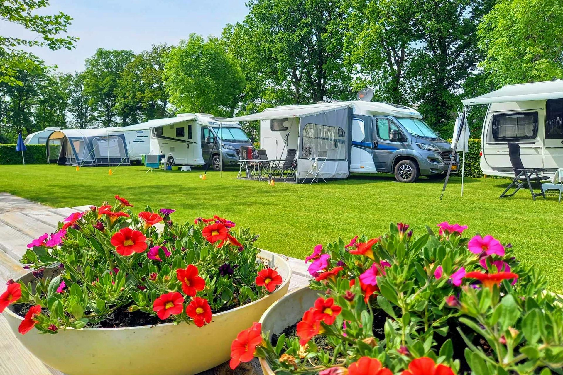 Camping De Linde - Wohnwägen auf Standplätzen des Campingplatzes