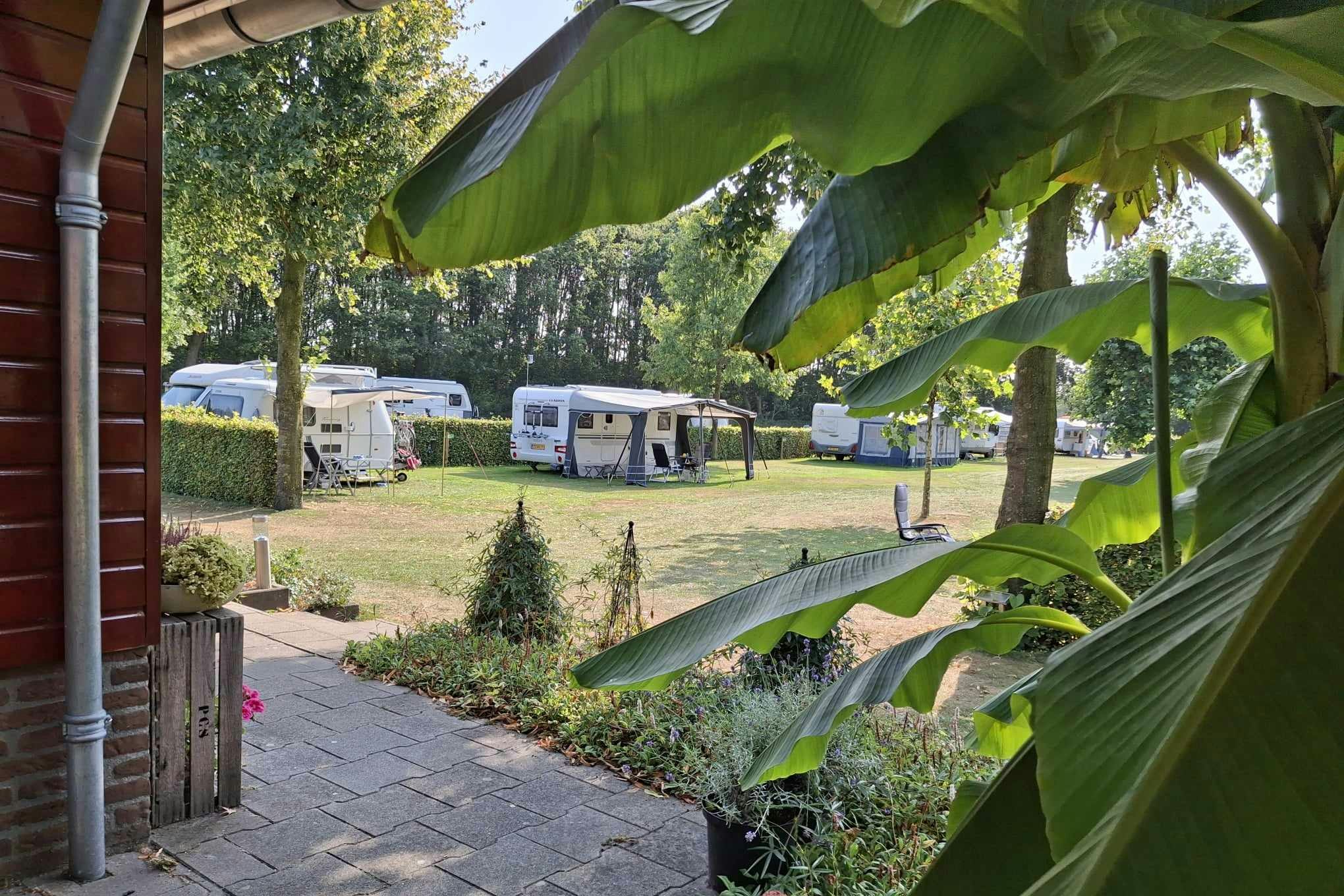 Camping De Linde - Wohnwägen auf den Standlätzen des Campingplatzes