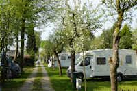 Camping De Linie - Wohnmobil- und  Wohnwagenstellplätze im Schatten der Bäume
