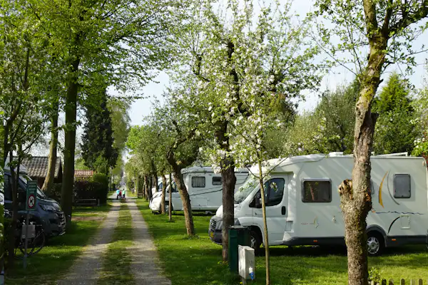 Camping De Linie