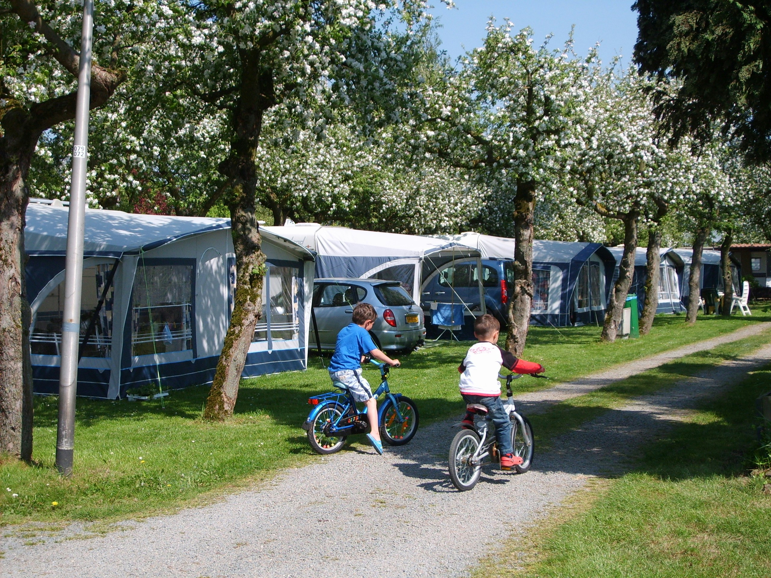 Camping De Linie