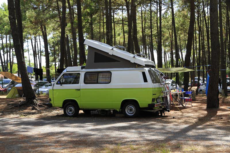Camping de l'Océan - Wohnmobil- und  Wohnwagenstellplätze im Schatten der Bäume