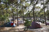 Camping de l'Océan - Zeltplätze im Schatten der Bäume