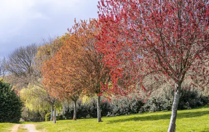Camping de Locouarn