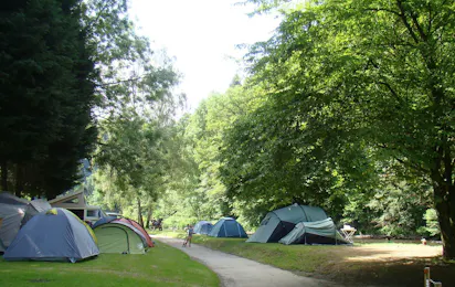 Camping de l'Ourthe La Roche en Ardenne