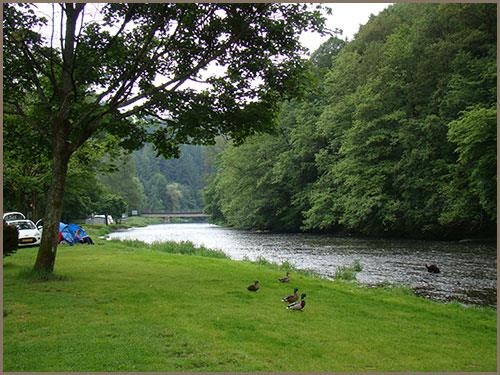 Camping de l'Ourthe La Roche en Ardenne
