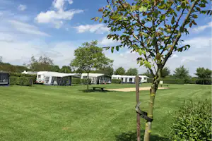 Camping De Maashoeve - Wohnmobilstellplatz vom Campingplatz auf grüner Wiese