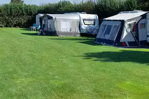 Campingzelte und Wohnwagen auf einem gepflegten Rasen, mit Hecken im Hintergrund und Sonnenschirmen am Zeltbereich.