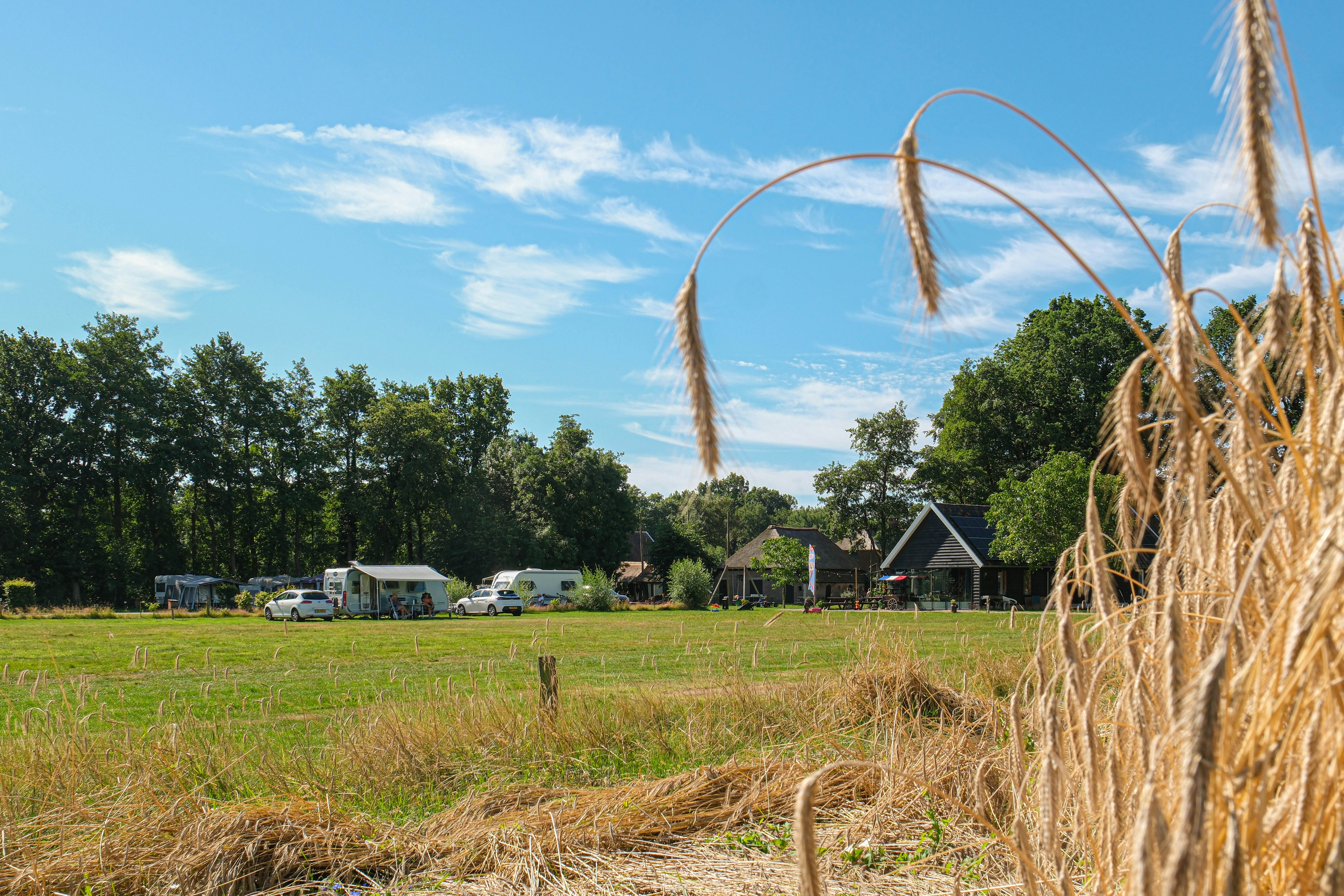 Camping De Mariahoeve - Wohnmobil- und Wohnwagenstandplätze auf der Wiese
