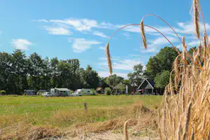 Camping De Mariahoeve - Wohnmobil- und Wohnwagenstandplätze auf der Wiese