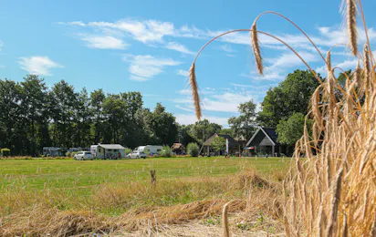 Camping De Mariahoeve