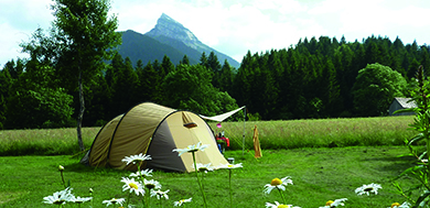 Camping Sites et Paysages de Martinière