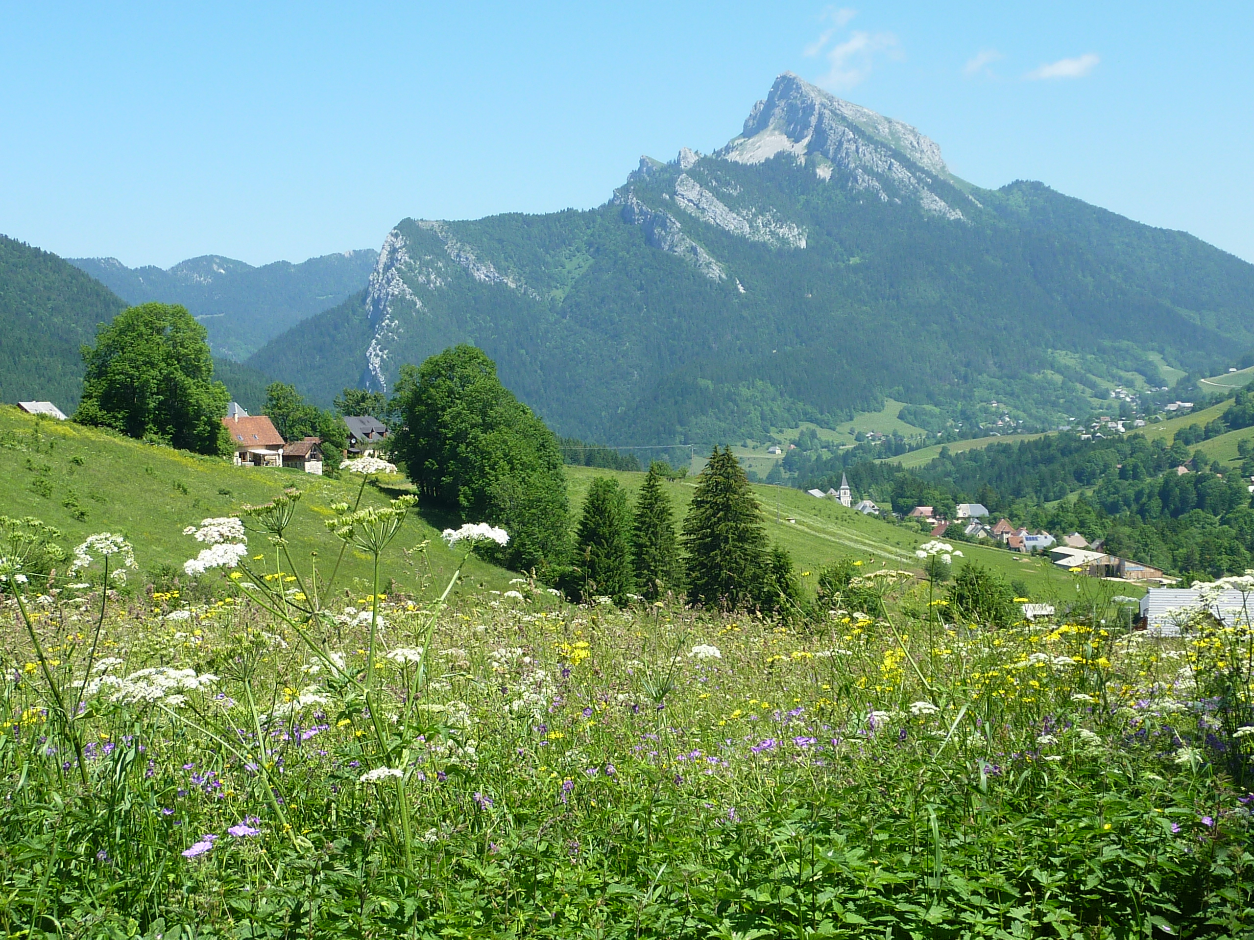 Camping Sites et Paysages de Martinière