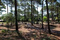 Camping De Maubuisson - Standplätze im Schatten der Bäume auf dem Campingplatz