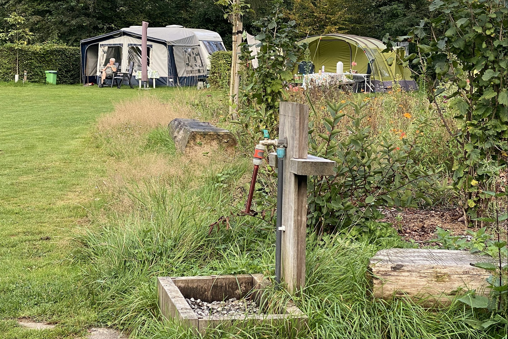 Camping De Meene - Blick auf die Standplatzwiese auf dem Campingplatz