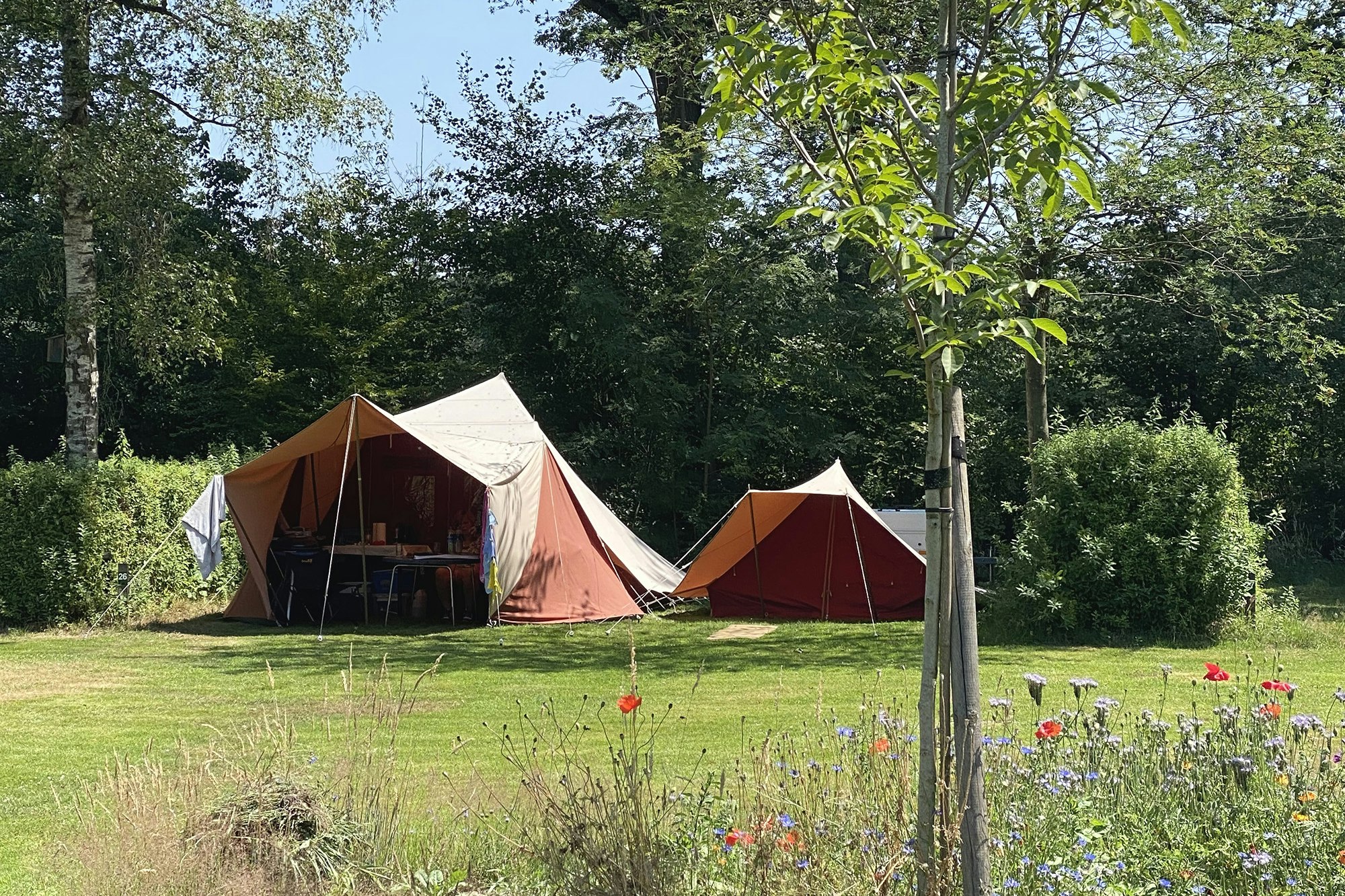Camping De Meene - Glamping-Zelte auf dem Campingplatz
