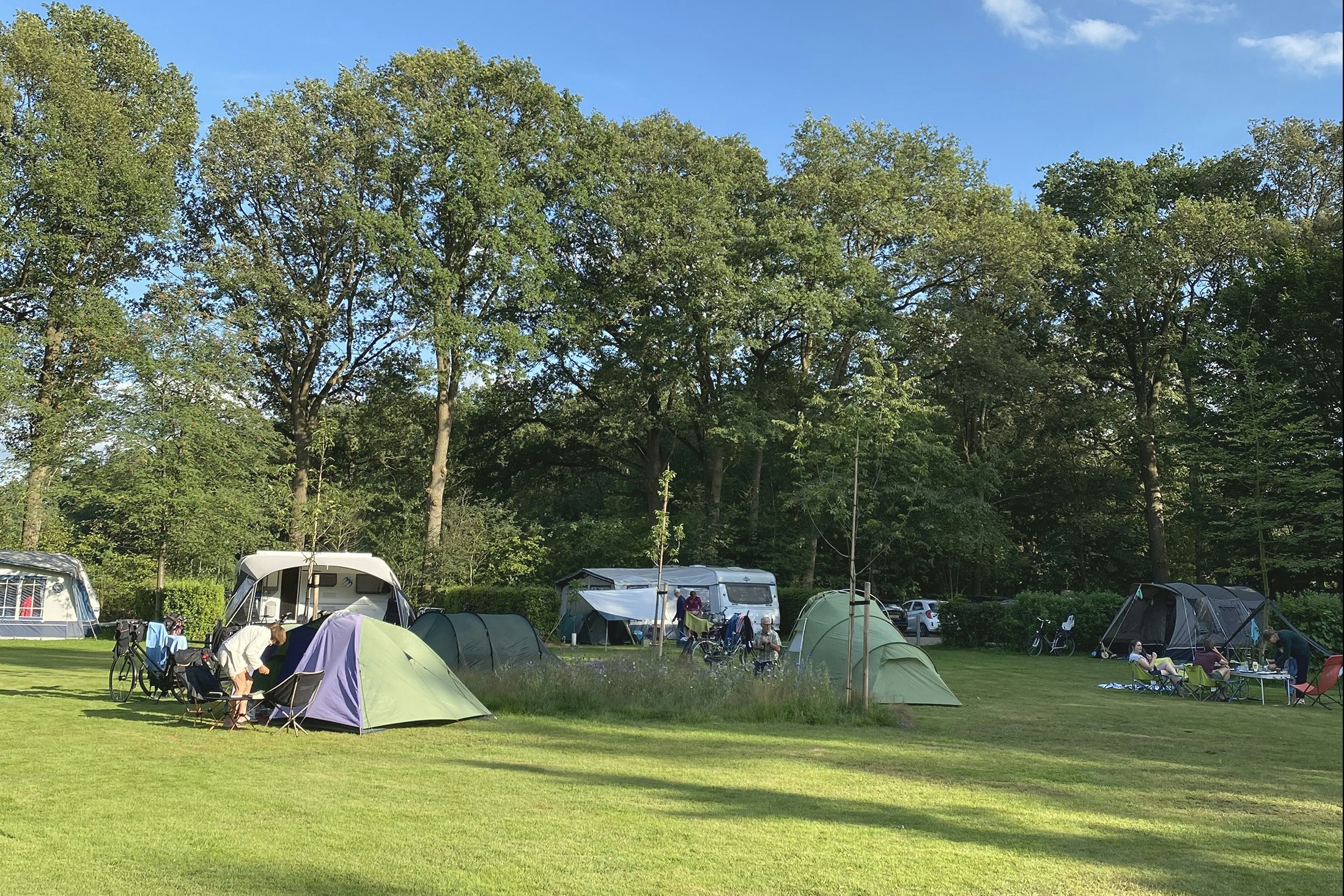 Camping De Meene - Standplatzwiese auf dem Campingplatz
