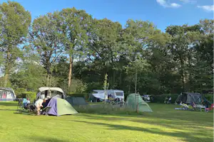 Camping De Meene - Standplatzwiese auf dem Campingplatz
