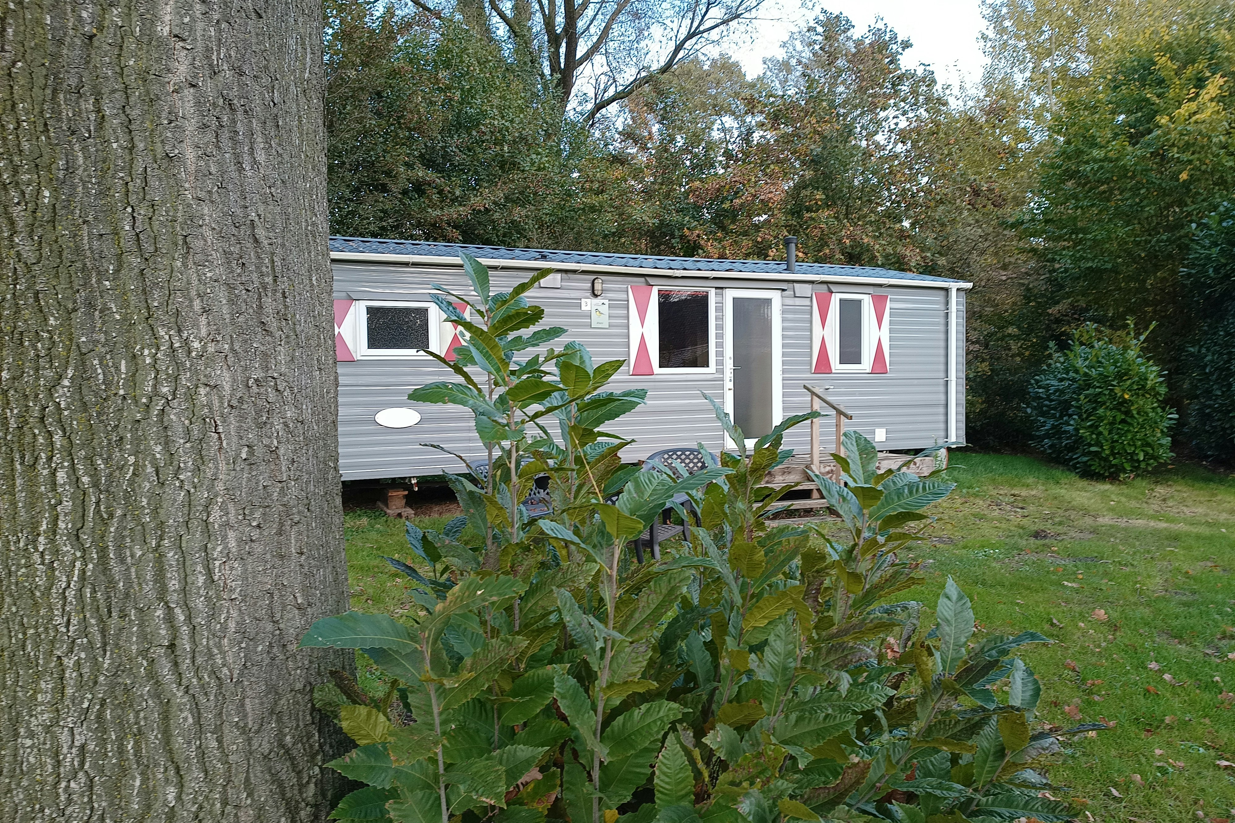 Camping De Meibeek  - Mobilheim mit Terrasse auf dem Campingplatz