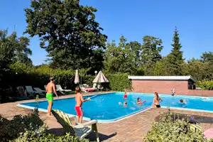 Recreatiepark de Meibeek - Pool im Freien mit Liegestühlen und Sonnenschirmen