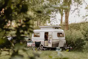Wohnwagen auf einem Campingplatz im Grünen, mit geöffnetem Einstieg und Campingstühlen vor hohen Bäumen.