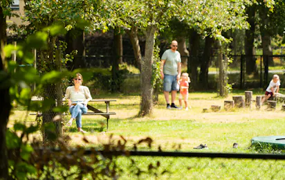 Camping De Menmoerhoeve
