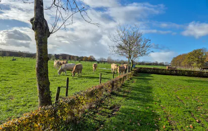 Camping De Menmoerhoeve