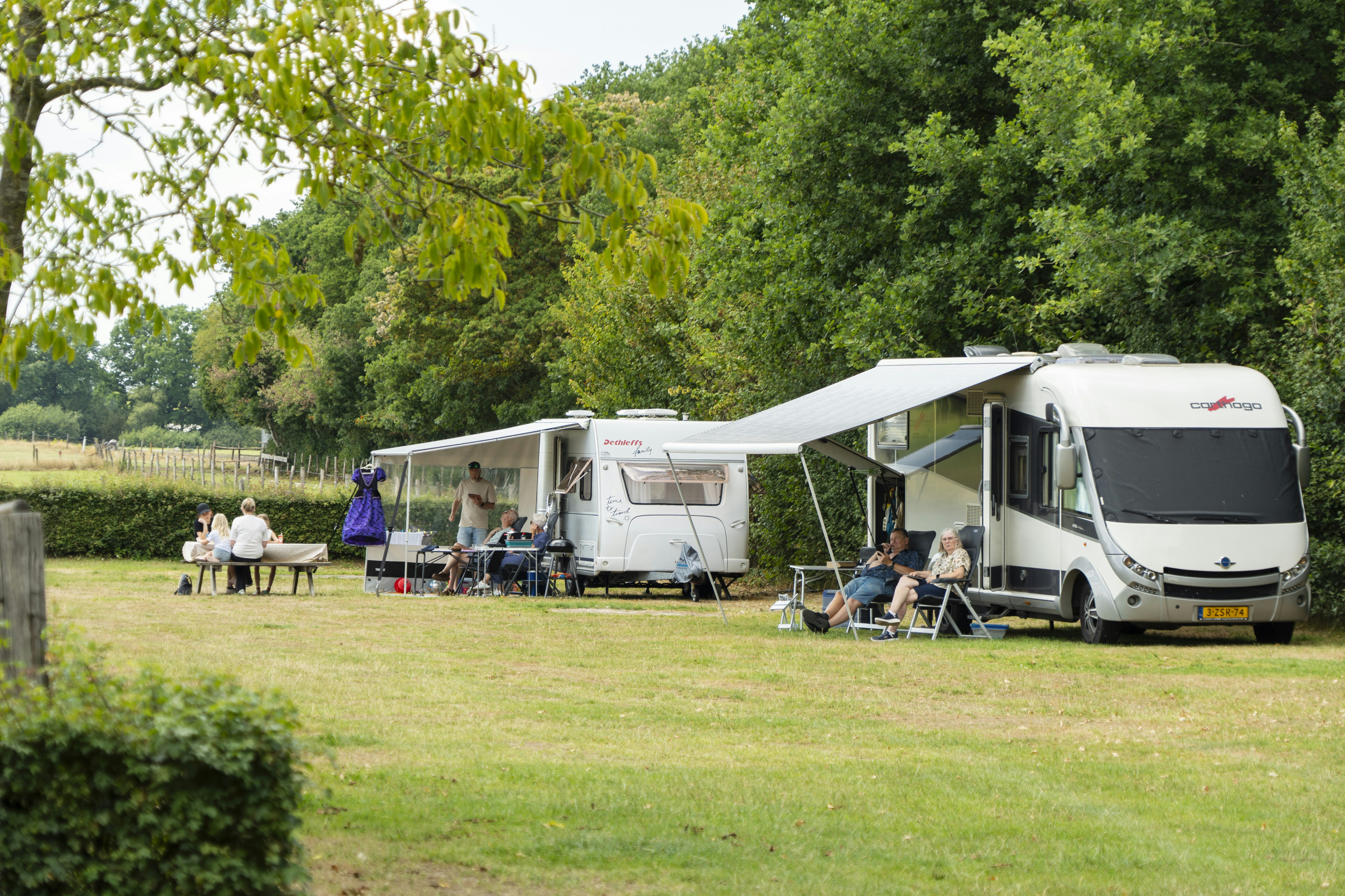 Camping De Menmoerhoeve - Standplatzwiese auf dem Campingplatz