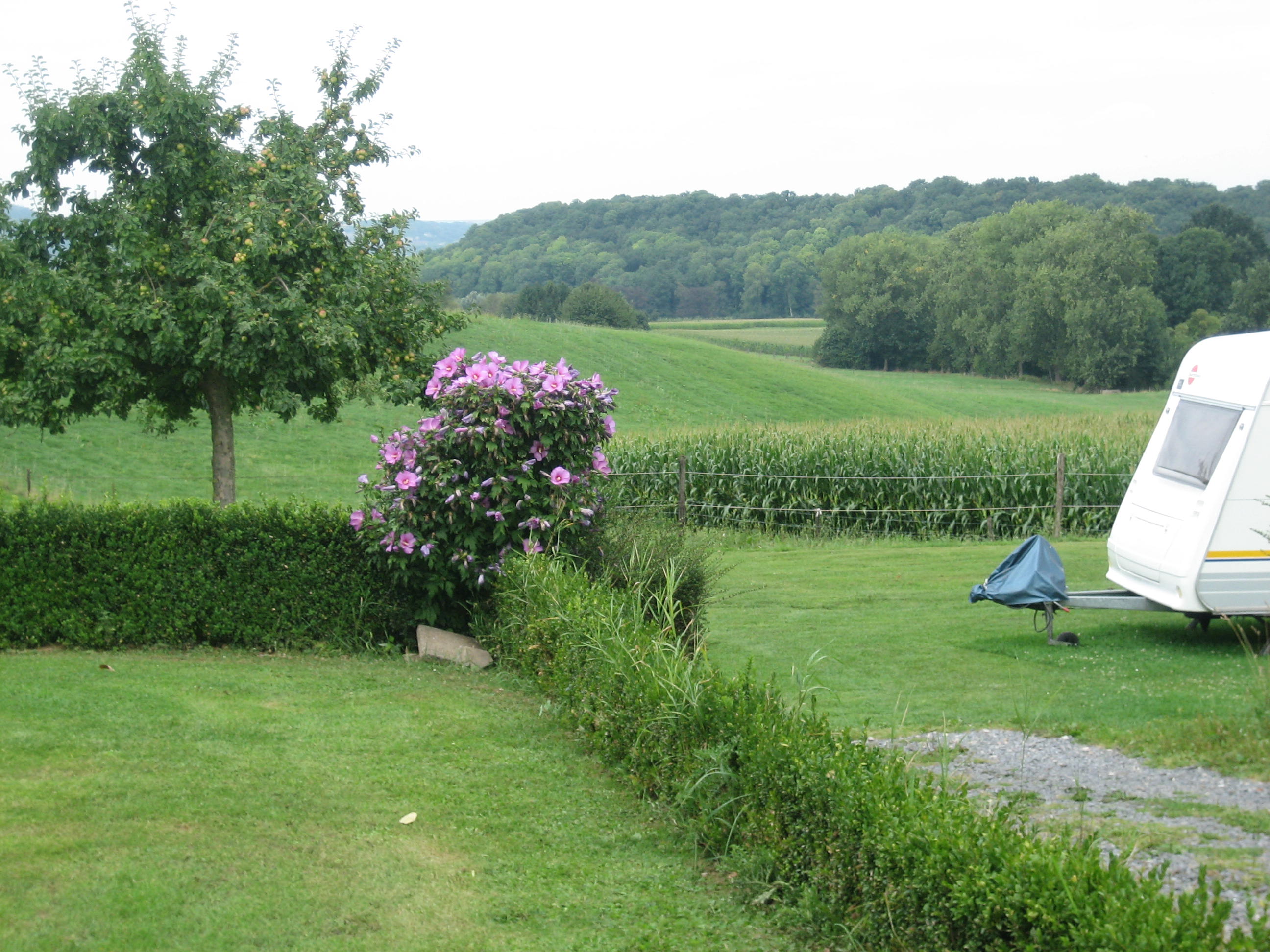 Camping De Mescherhei