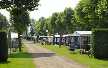 Camping De Midden Veluwe