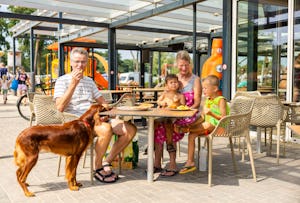 Camping De Molenhof - Familie mit Kindern und Hund auf der Terrasse des Restaurants