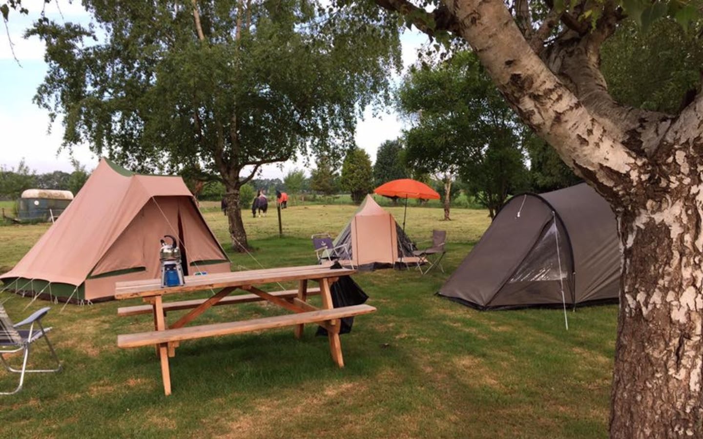 Camping de Molenhorst