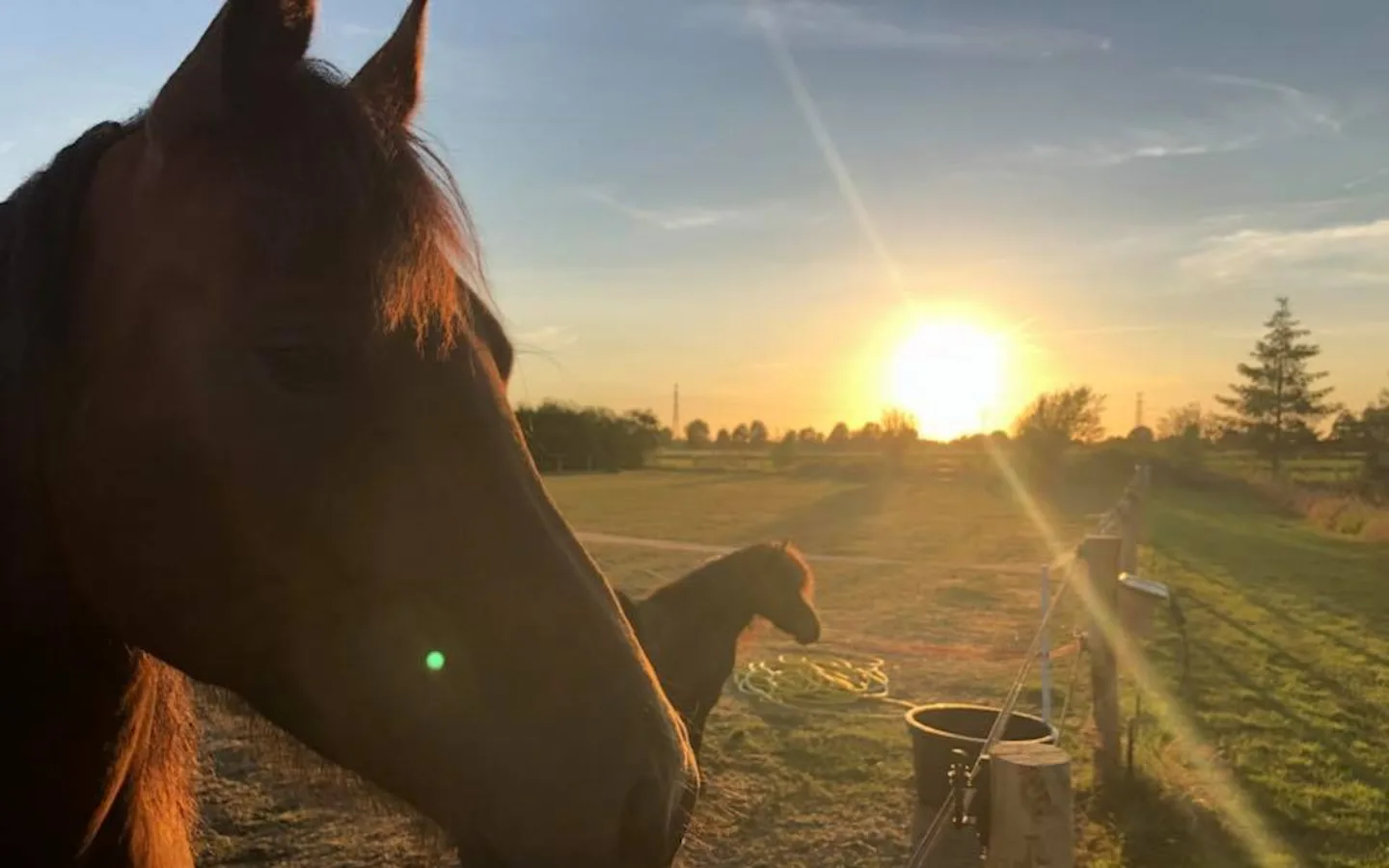 Camping de Molenhorst