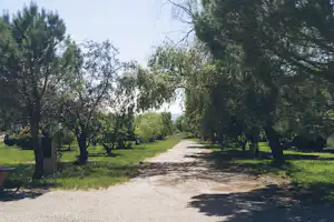 Camping de Montéglin - Campingplatzboulevard zwischen den Stellplätzen