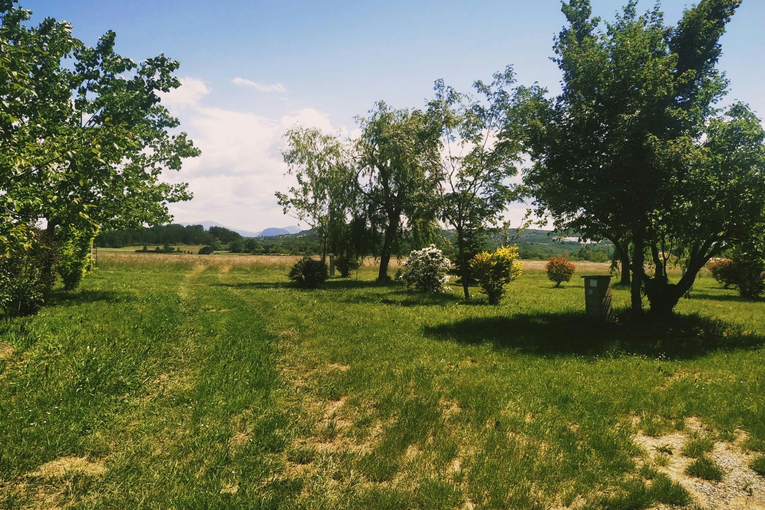 Grünes Campinggelände mit Wiese, Bäumen und einem Mülleimer am Rand, im Hintergrund Felder und Hügel.