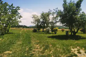 Grünes Campinggelände mit Wiese, Bäumen und einem Mülleimer am Rand, im Hintergrund Felder und Hügel.