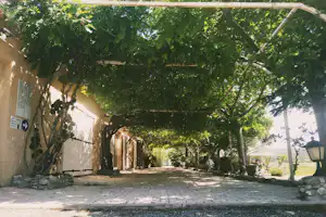 Camping de Montéglin - durch dichte Vegetation geschützte Parkplätze