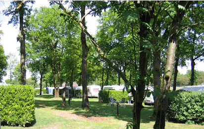 Camping De Morgenster