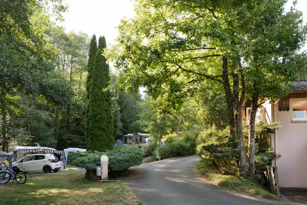 Camping Montagne des Vosges