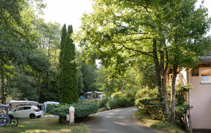 Camping Montagne des Vosges