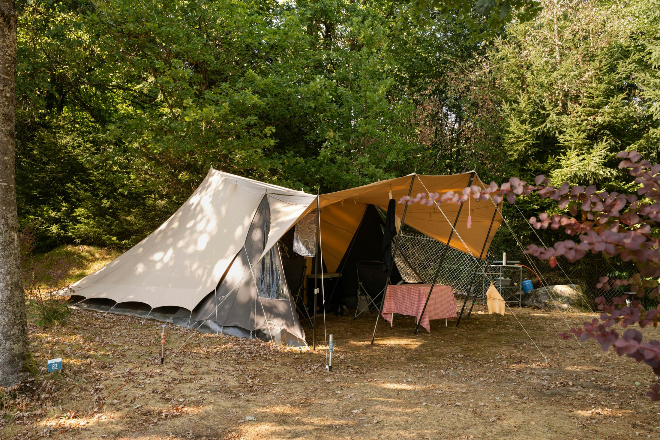Zelte auf einem Campingplatz im Grünen, mit Vorhängen und Stühlen vor den Eingängen, umgeben von Bäumen.