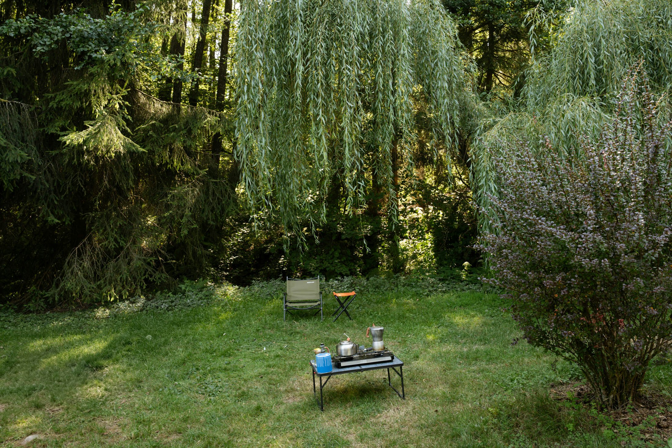 Garten mit Rasenfläche, Tisch mit Grill und Geschirr, umgeben von Bäumen und Sträuchern.
