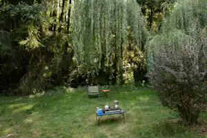Garten mit Rasenfläche, Tisch mit Grill und Geschirr, umgeben von Bäumen und Sträuchern.
